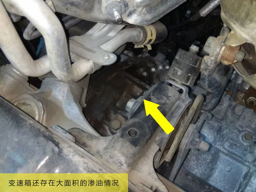 汽车渗油多少合适 汽车渗油多少合适